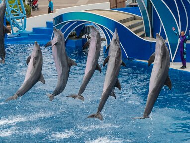 Sea World