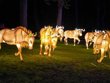 Lantern Festival 2018